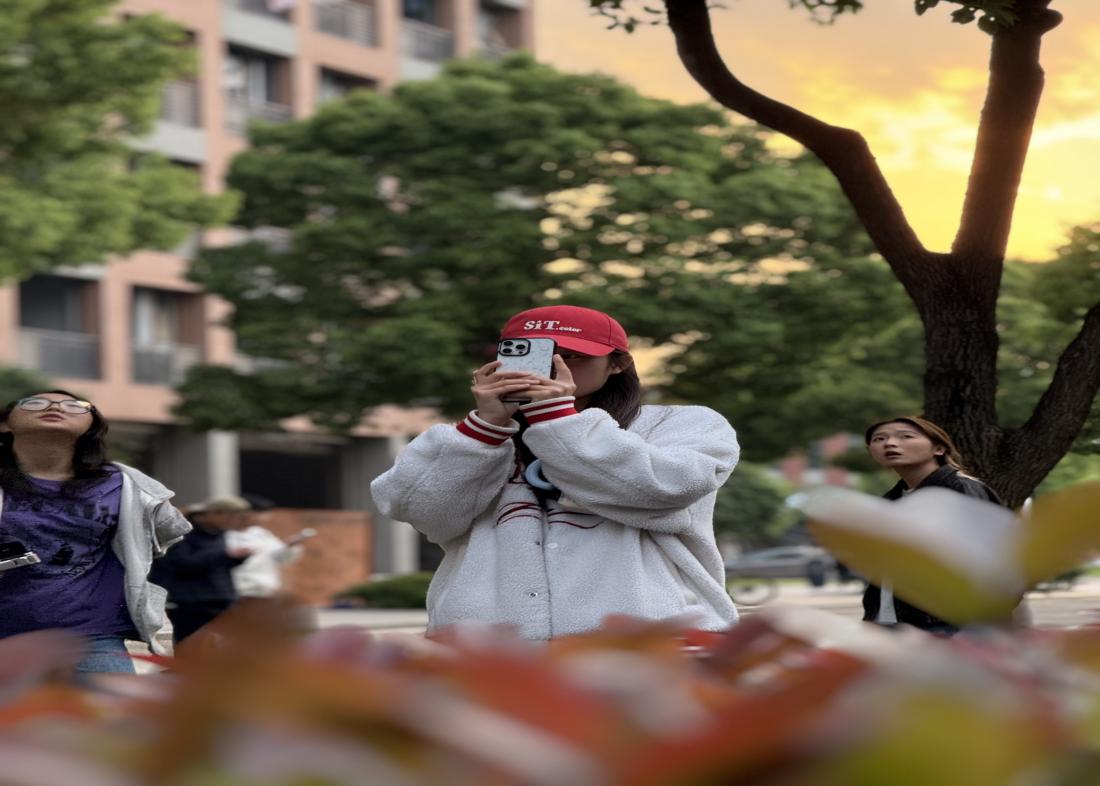 艺韵绽芳华，美育润心田